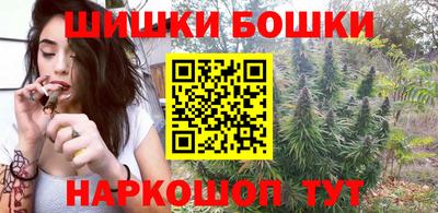 гидра Моздок
