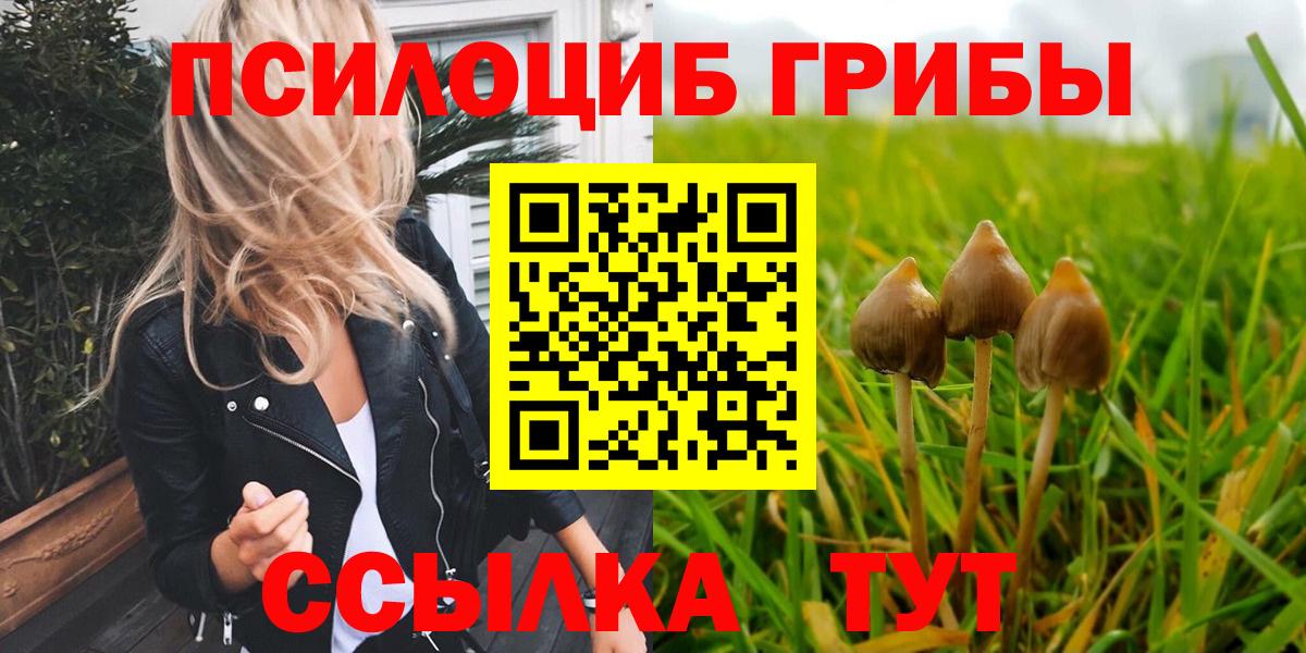 Псилоцибиновые грибы GOLDEN TEACHER  Вход с VPN  Северск 
