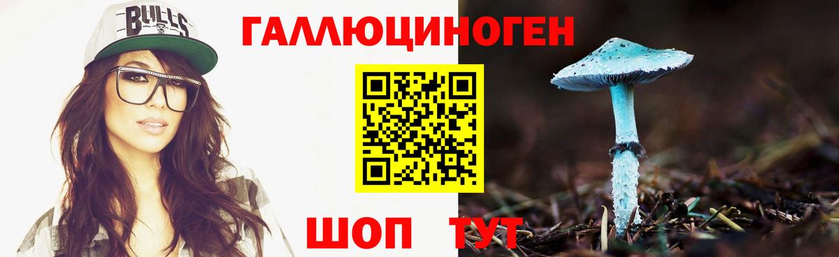 Псилоцибиновые грибы MAGIC MUSHROOMS Северск